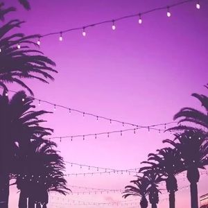 Meet your Posher, Miledi